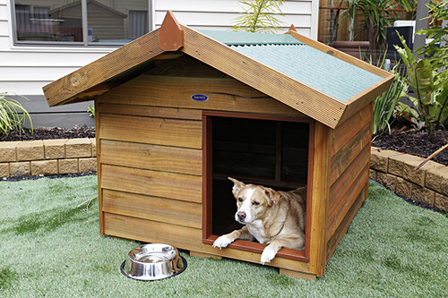 Outdoor Dog House Plans: Build a Cozy Retreat Now!
